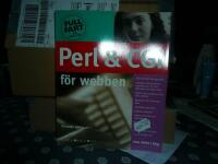 Perl och CGI f&ouml;r webben