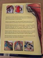 M&auml;nniskans anatomi