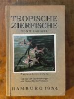 Tropische Zierfische