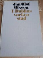 I Dublins vackra stad