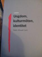 Ungdom, kulturm&ouml;ten, identitet