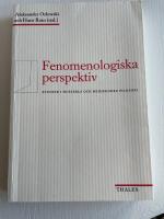 Fenomenologiska perspektiv - Studier i Husserls och Heideggers filosofi