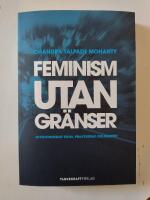 Feminism utan gr&auml;nser : avkoloniserad teori, praktiserad solidaritet