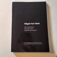N&aring;got har h&auml;nt &ndash; 100 ber&auml;ttelser fr&aring;n den nya arbetsmarknaden