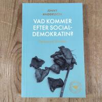 Vad kommer efter socialdemokratin? : tankar om 20-talet