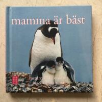 Mamma &auml;r b&auml;st : inspirerande ord om att vara mamma