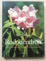 Rododendron : arter, hybrider, samplanteringsv&auml;xter och sk&ouml;tselr&aring;d
