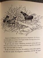 &Aring;ret vid Kvarnforsen 