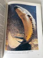 Droppar av vatten droppar av &aring;r