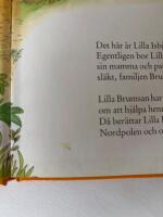 Lilla isbj&ouml;rn i stora skogen