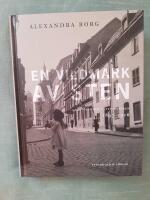 En vildmark av sten : Stockholm i litteraturen 1897-1916