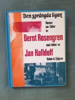 Den spr&auml;ngda ligan
