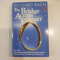 The bridge across forever