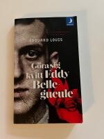 G&ouml;ra sig kvitt Eddy Bellegueule