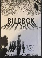 Bildbok