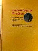 ... med ett litet h&aring;l f&ouml;r sj&auml;len : psykisk oh&auml;lsa vid kroppslig sjukdom och skada