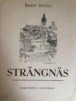 Str&auml;ngn&auml;s