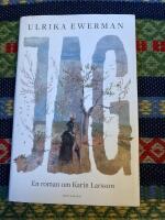 Jag : en roman om Karin Larsson