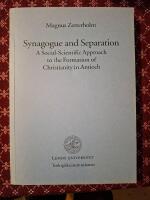 Synagogue and Separation: A Social-Scientific Approach to the Formation of Christianity in Antioch