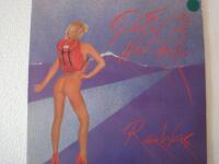 Pros and cons of hitch hiking