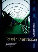 Fotsp&aring;r i glastrappan : den svindlande kl&auml;ttringen i Babels torn och v&auml;gen tillbaka till jorden