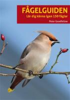 F&aring;gelguiden - l&auml;r dig k&auml;nna igen 150 f&aring;glar