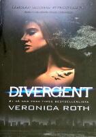 Divergent S&Aring;LT 25 MILJONER EX Boken bakom storfilmen TVG