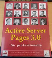 Active Server Pages 3.0 f&ouml;r professionella