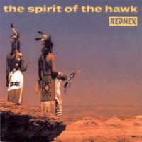 The Spirit of the hawk