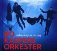 Du borde tycka om mig (Digibook, signerad)