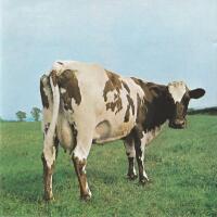 Atom heart mother
