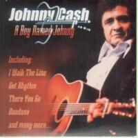 A boy named Johnny