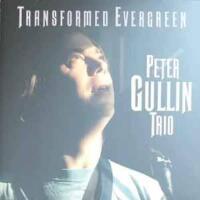 Transformed evergreen