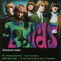 Chestnut Mare