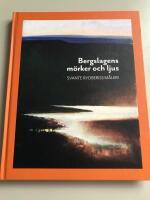 Bergslagens m&ouml;rker och ljus : Svante Rydbergs m&aring;leri