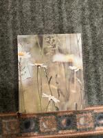 V&aring;rt svenska landskap : Det b&auml;stas naturlexikon