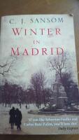 Winter in Madrid