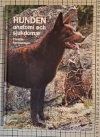 Hunden : anatomi och sjukdomar