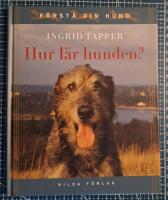 Hur l&auml;r hunden?