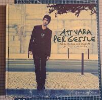 Att vara Per Gessle : en auktoriserad biografi