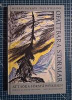 Ofattbara stormar : Att s&ouml;ka f&ouml;rst&aring; psykosen