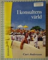 I konsultens v&auml;rld