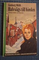 Halvv&auml;gs till himlen. F&ouml;rsta boken om Karolin