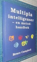 Multipla intelligenser : en metodbok