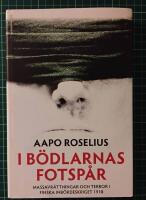 I b&ouml;dlarnas fotsp&aring;r : massavr&auml;ttningar och terror i finska inb&ouml;rdeskriget 1918