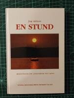 Jag minns en stund : [berättelser om långfärder till sjöss]