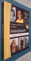 Handikapp - syns&auml;tt principer perspektiv