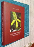 Camfore : en j&auml;mtl&auml;ndsk pl&aring;nbok f&ouml;r industriell utveckling