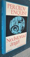 Nedst&ouml;rtad &auml;ngel : en k&auml;rleksroman