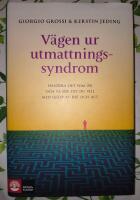 V&auml;gen ur utmattningssyndrom : hantera det som &auml;r och ta dig dit du vill med